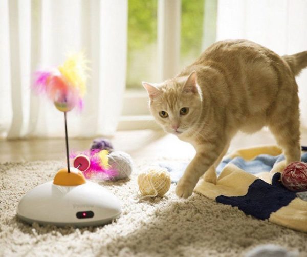 Smartphone Controlled Interactive Cat Toy