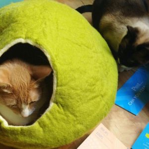 Spherical Cat Cave Bed