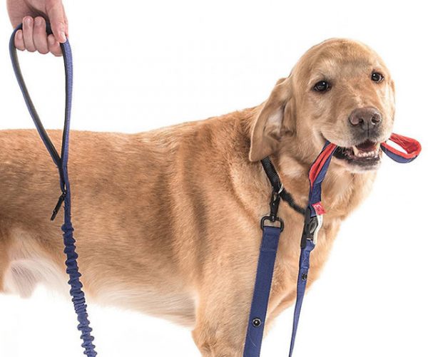 Two-Way Dog Friendly Leash