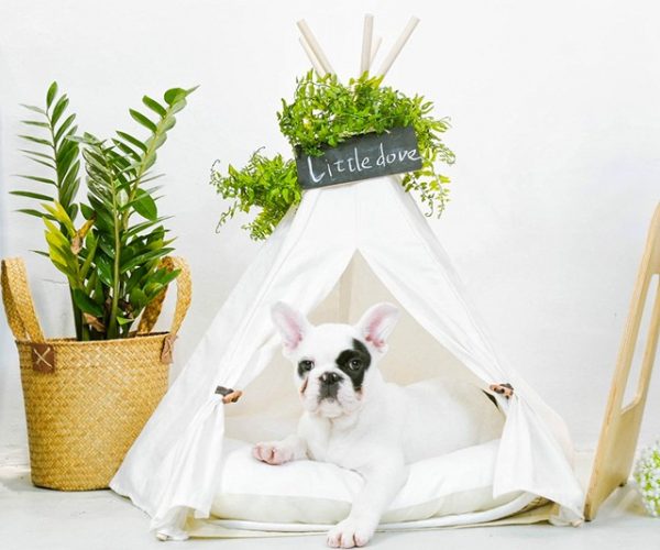 Pet Teepee Dog & Cat Bed