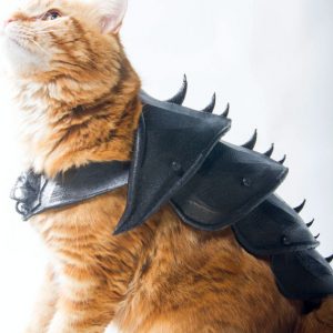 3D Printed Cat Armor