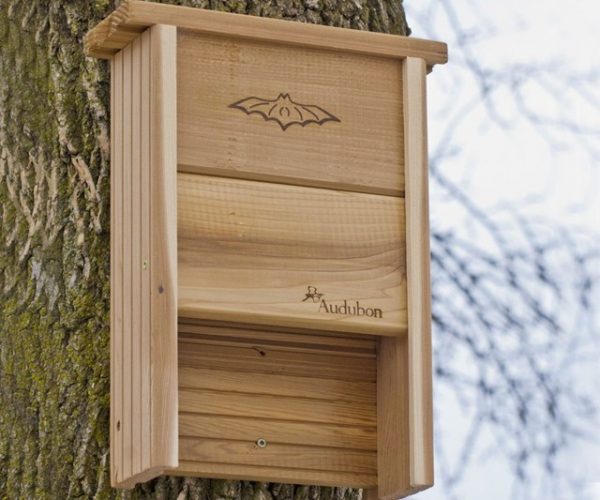 Audubon Bat Shelter
