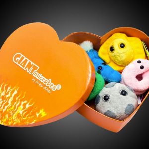 Giant Microbes Heart Burned Gift Box