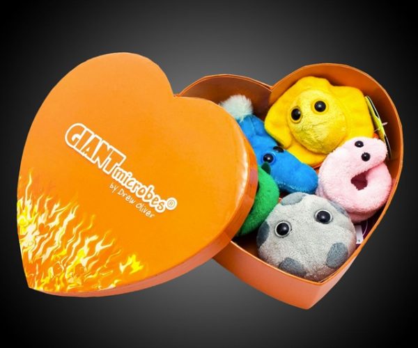 Giant Microbes Heart Burned Gift Box