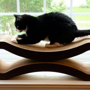 The Ultimate Cat Scratcher Lounge