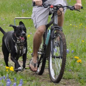 Walky Dog Hands-Free Bicycle Leash