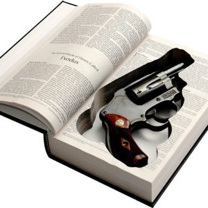 Concealed Gun Storage Bible