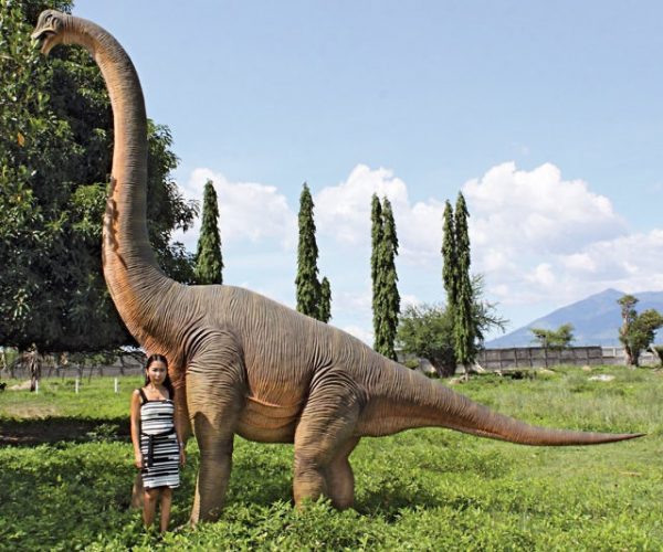 Giant Brachiosaurus Dinosaur Statue