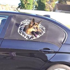 Car Window Safeguard For Dogs