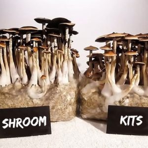 Magical Mushroom Grow Kit
