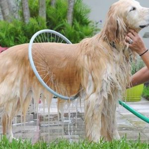 360 Degree Dog Washer