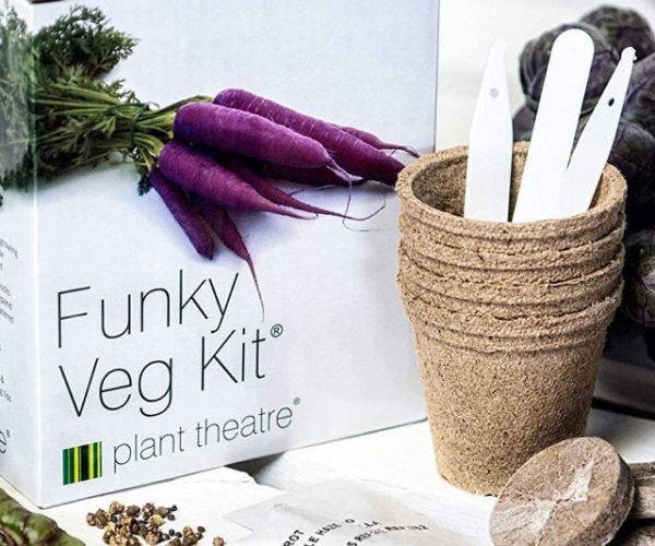 The DIY Vegetable Growing Kit
