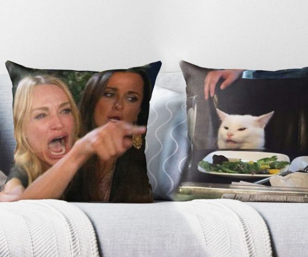 Woman Yelling At Cat Meme Throw Pillows
