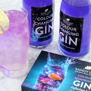 Color Changing Gin Infusing Kit