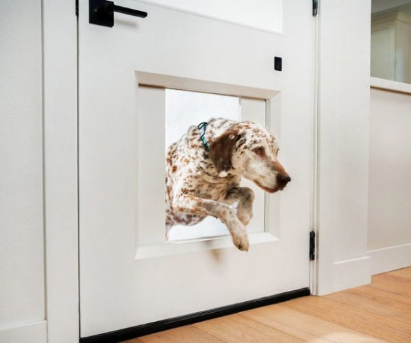 myQ Pet Portal Smart Dog Door