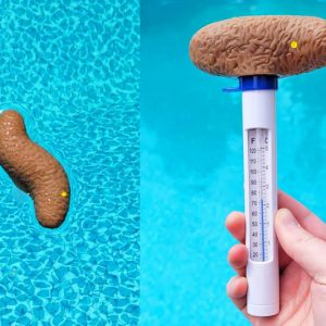 Pool Thermometer Floating Poop