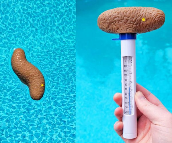 Pool Thermometer Floating Poop
