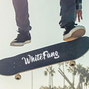 WhiteFang Skateboard For Beginners