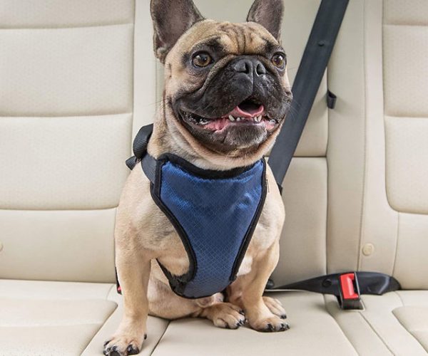 Doggy Vehicle Safety Harness