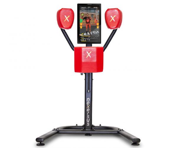Nexersys N3 Personal Boxing Trainer