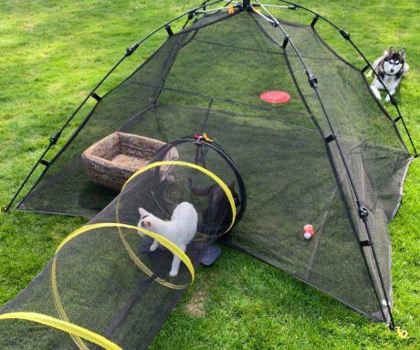 Outdoor Pet Tent