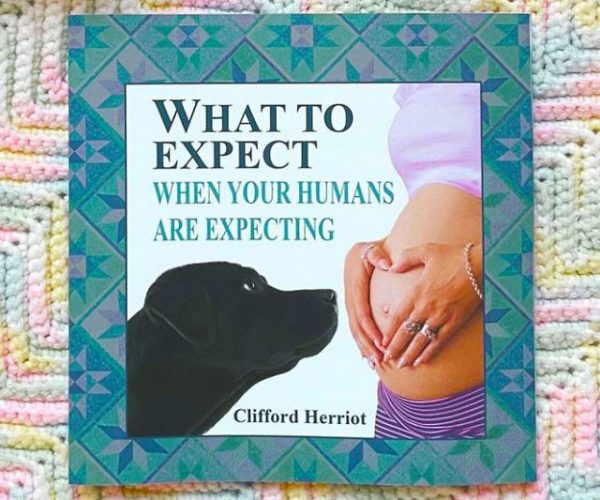 When Your Humans Are Expecting Book