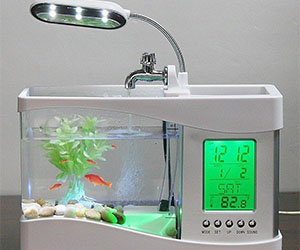 Mini Aquarium Clock