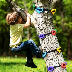 Tree Climbing Holds For Kids